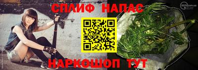 амф Можга