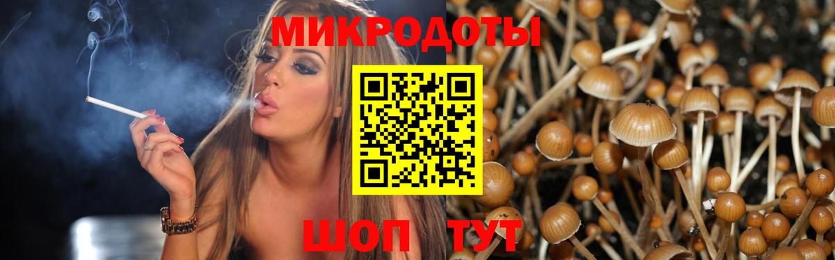 Псилоцибиновые грибы Magic Shrooms Гагарин
